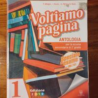 VOLTIAMO PAGINA