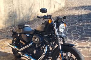 Harley Davidson 883 iron