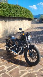 Harley Davidson 883 iron