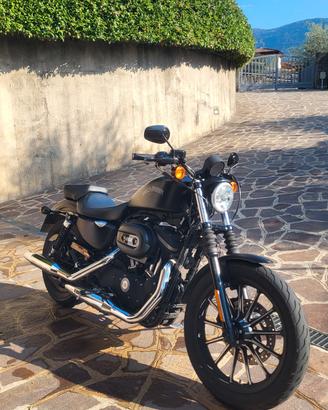 Harley Davidson 883 iron