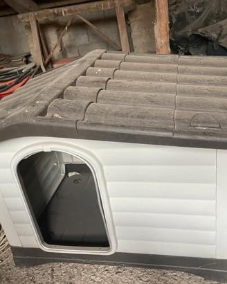 cuccia per cagnolini