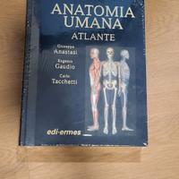 Atlante di anatomia umana Anastasi