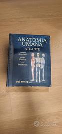 Atlante di anatomia umana Anastasi