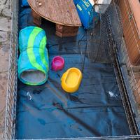 Gabbia e accessori Riccio Africano