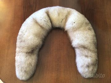 Collo di volpe