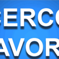 Operaia,babysitter,commessa,badante