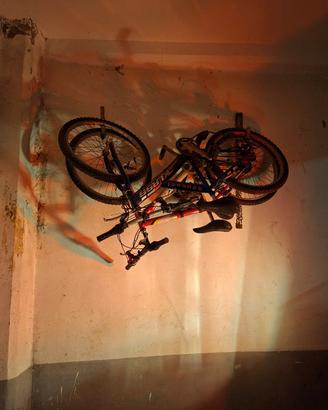due biciclette 