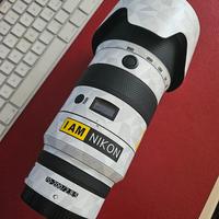 Nikon Z 70-200mm f/2.8 S 