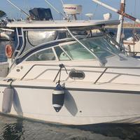 Barca da pesca professionale