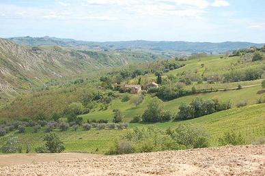 Casa colonica a Ripaberarda, Castignano (AP)