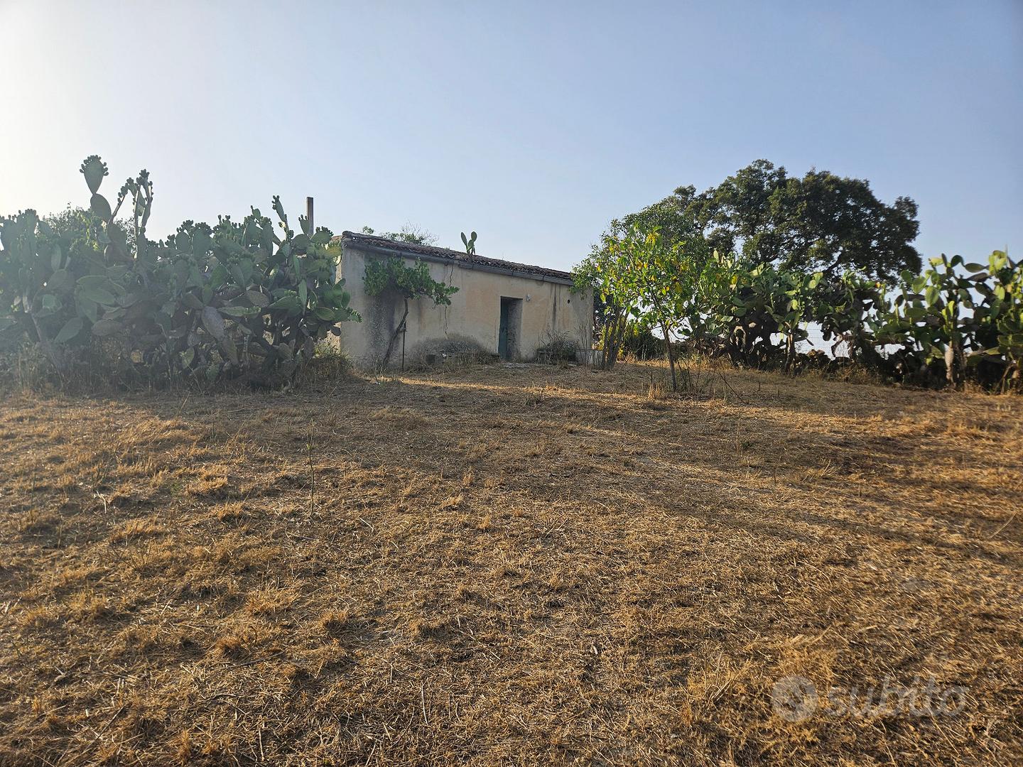 Terreno agricolo 2,2 ettari con acqua - Ploaghe - Vista 2