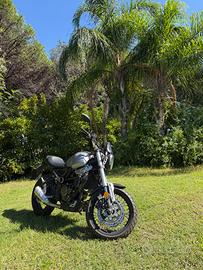 Voge Trofeo 300 ACX scrambler