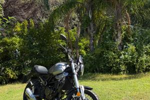 Voge Trofeo 300 ACX scrambler
