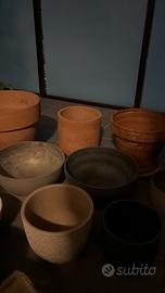 Vasi piante