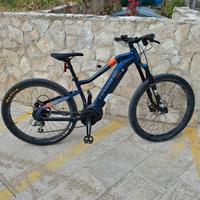 Bici HAEIBIKE Immediato realizzo