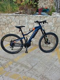 Bici HAEIBIKE Immediato realizzo