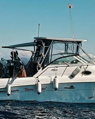 Wellcraft 270 Coastal + 2x300hp Suzuki (2025)