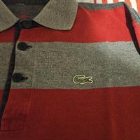 polo lacoste 