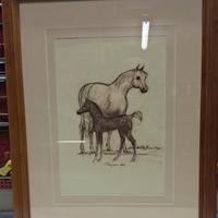 QUADRO CAVALLI CON CORNICE pbpb