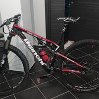 Bianchi Methanol  29 fs