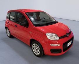 FIAT Panda 1.2 Easy - OK PER NEOPATENTATI - G...