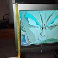 TV LG piccolo schermo 