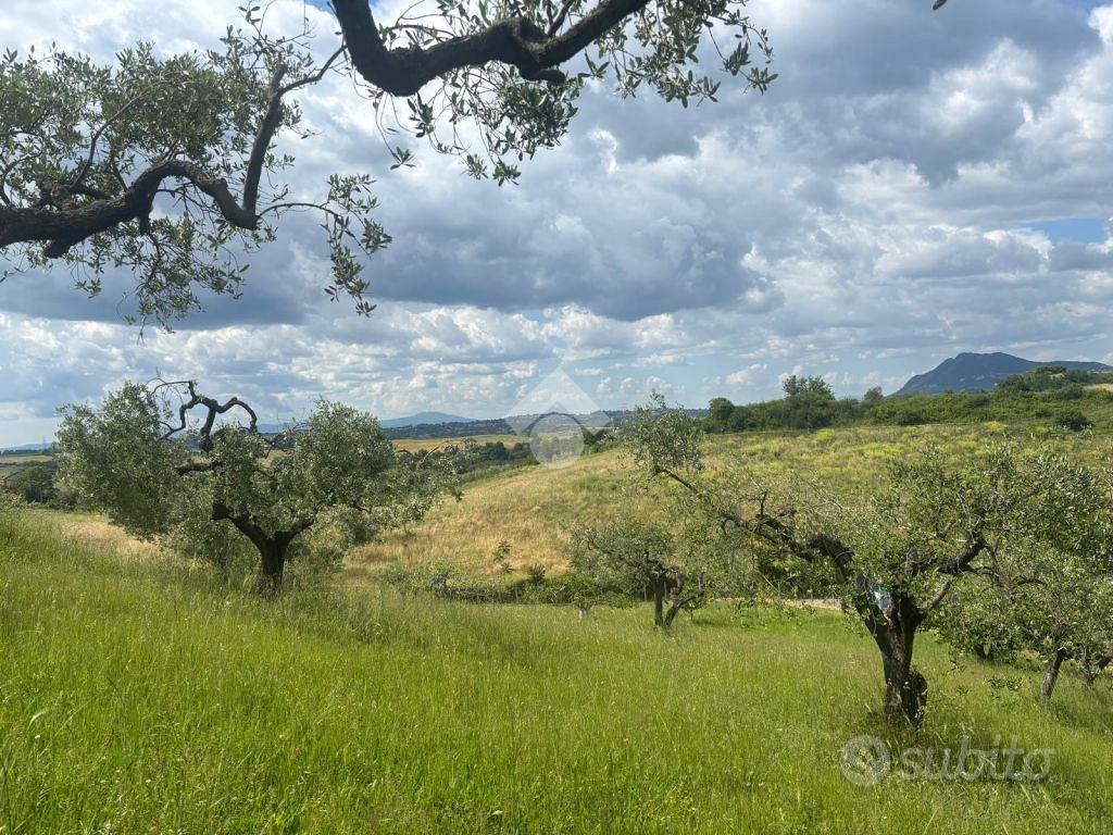 TER. RESIDENZIALE A MORLUPO - Vista 3