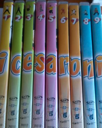 I Cesaroni seconda stagione