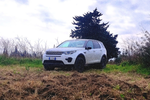 Discovery sport