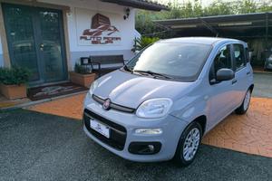 FIAT Panda 1.2 Easy TAGLIANDO+DISTIBUZIONE OK! G