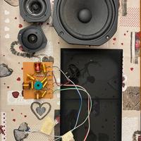Pioneer S-X440 crossover + altoparlanti
