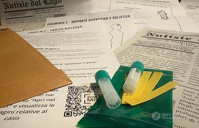 Gioco investigazione