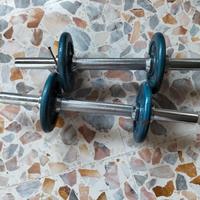 coppia di manubri con pesi 