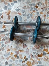 coppia di manubri con pesi 