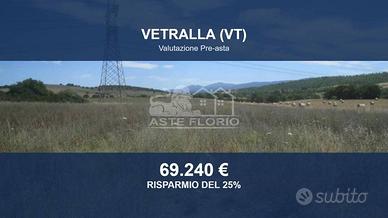 Immobile in asta di 50000 m² a Vetralla