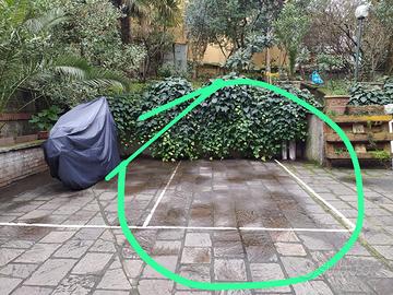 Posto moto in via Torleone 45 Bologna