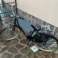 Bicicletta olandese
