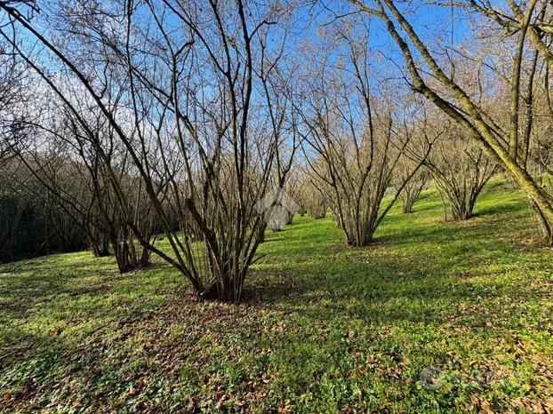 TER. AGRICOLO A CAPRAROLA