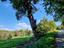Immagine 29