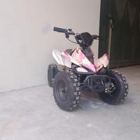 mini quad