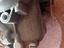 Immagine 3