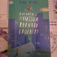 Cosa è successo a Barnaby Brocket 