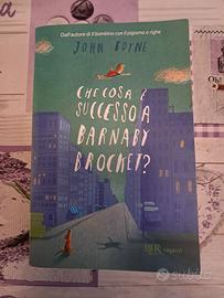 Cosa è successo a Barnaby Brocket 