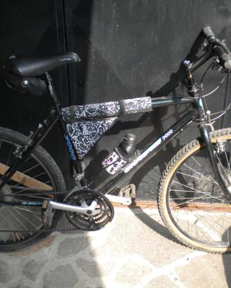 Mountain bike