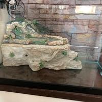 Tartarughiera - vasca per tartaruga