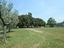 Immagine 16