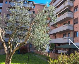 Bilocale zona zarini prato