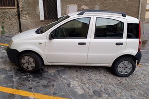 panda 