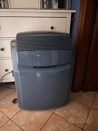 Condizionatore pinguino delonghi