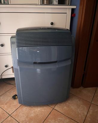 Condizionatore pinguino delonghi
